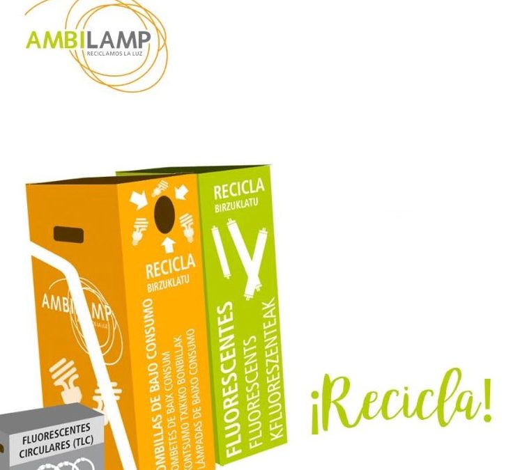 Recogida capilar para Ambilamp